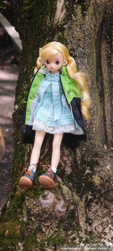 Несколько прогулок (в основном сегодня) (фото 9)