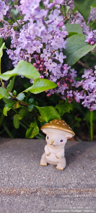 Несколько прогулок (в основном сегодня)