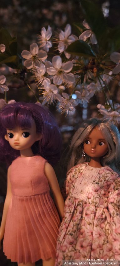 Несколько прогулок (в основном сегодня) (фото 3)