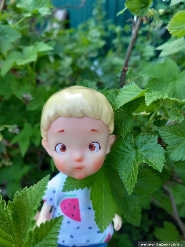 Бесстрашный Санька и куры (фото 9)