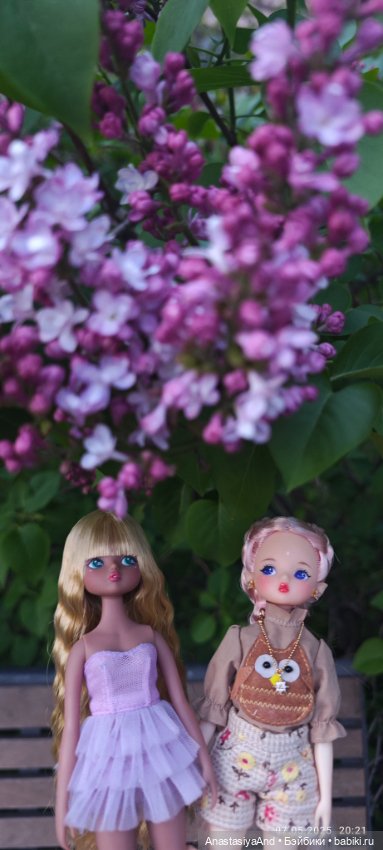 Несколько прогулок (в основном сегодня) (фото 5)