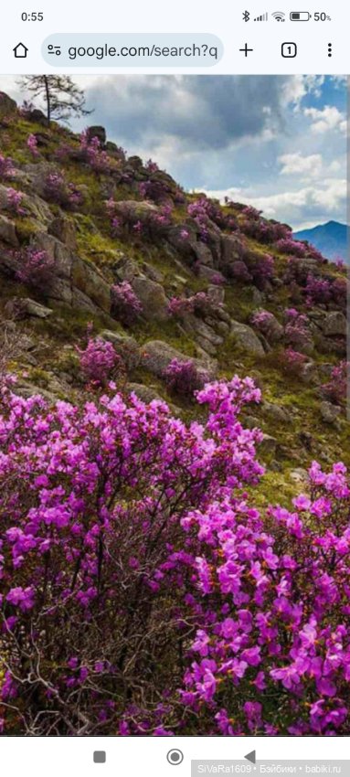 История маленькой Аяночки (фото 5)