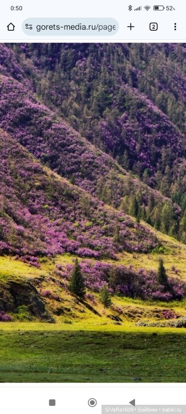 История маленькой Аяночки (фото 6)