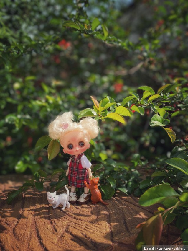 5 минут славы — Куклы с Алиэкспресс (Aliexpress): Китайские шарнирные (фото 8)