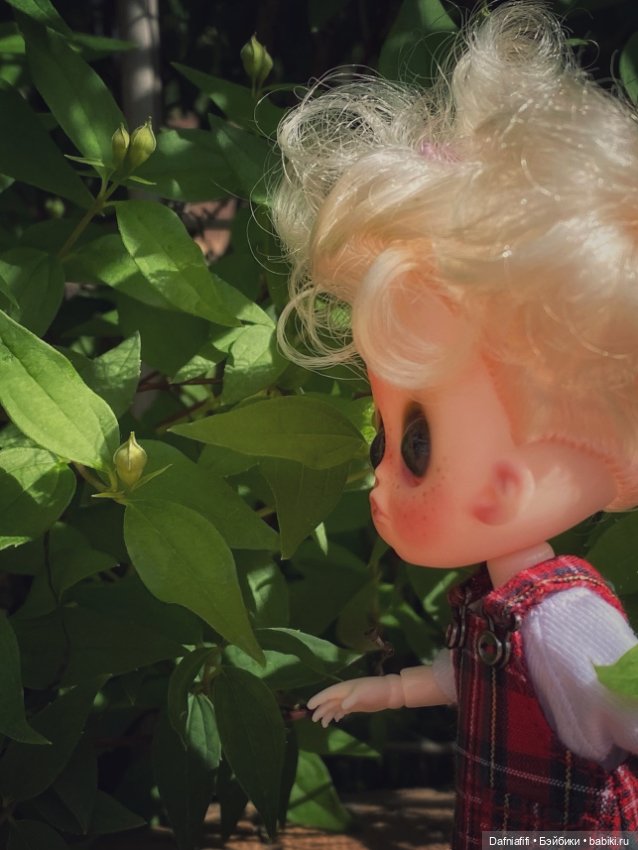 5 минут славы — Куклы с Алиэкспресс (Aliexpress): Китайские шарнирные