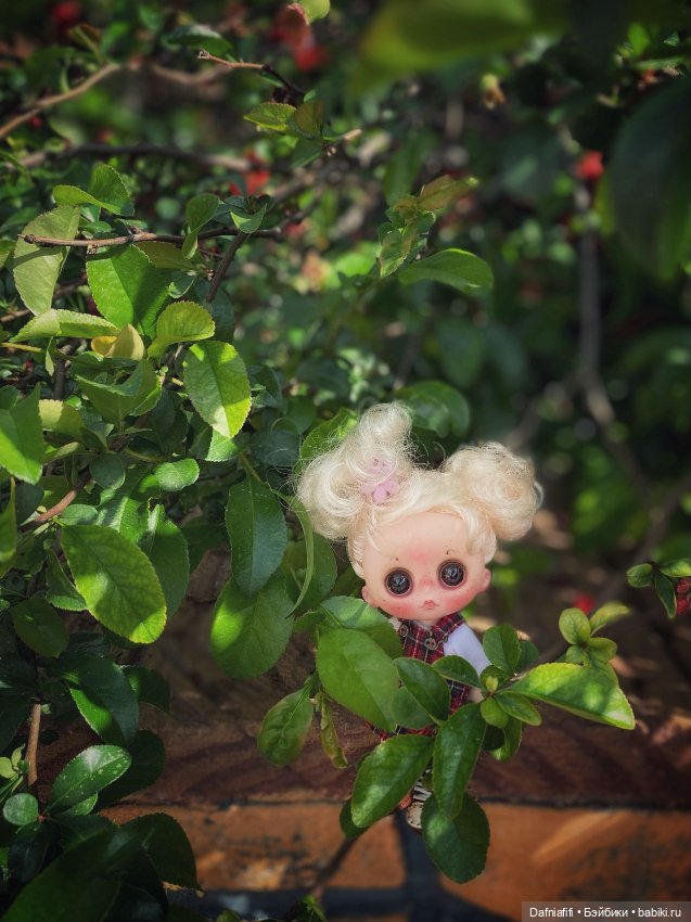 5 минут славы — Куклы с Алиэкспресс (Aliexpress): Китайские шарнирные