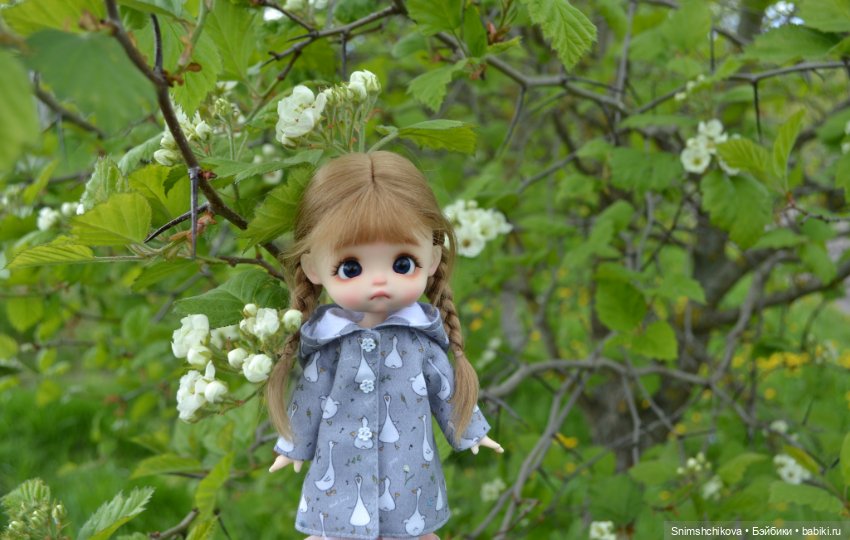 Не май месяц — Разные шарнирные куклы (не БЖД): редкие (фото 2)