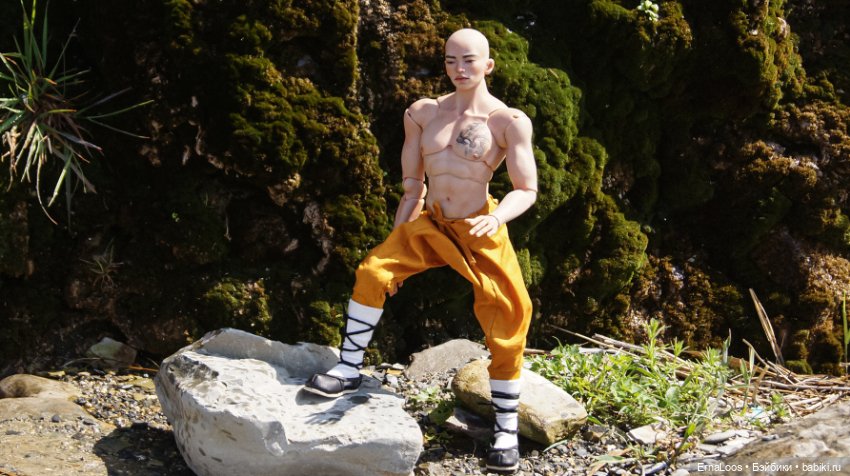 Шаолинь — Куклы Dart dolls (Анна Шиткина): российские BJD (БЖД) (фото 9)