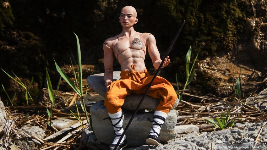 Шаолинь — Куклы Dart dolls (Анна Шиткина): российские BJD (БЖД) (фото 8)