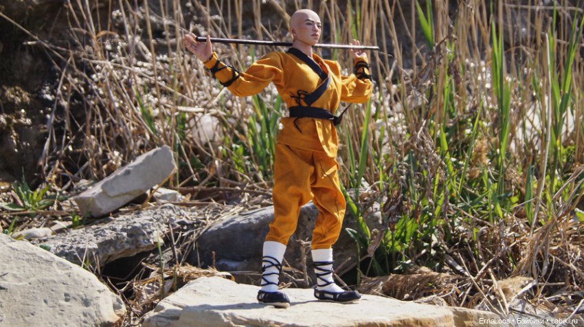 Шаолинь — Куклы Dart dolls (Анна Шиткина): российские BJD (БЖД) (фото 2)