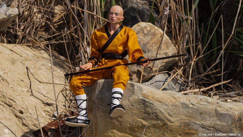 Шаолинь — Куклы Dart dolls (Анна Шиткина): российские BJD (БЖД) (фото 7)