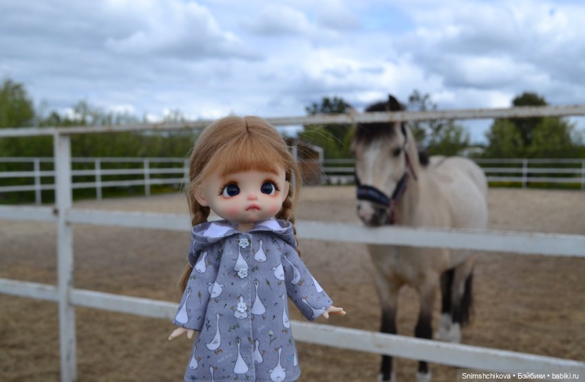 Не май месяц — Разные шарнирные куклы (не БЖД): редкие (фото 4)