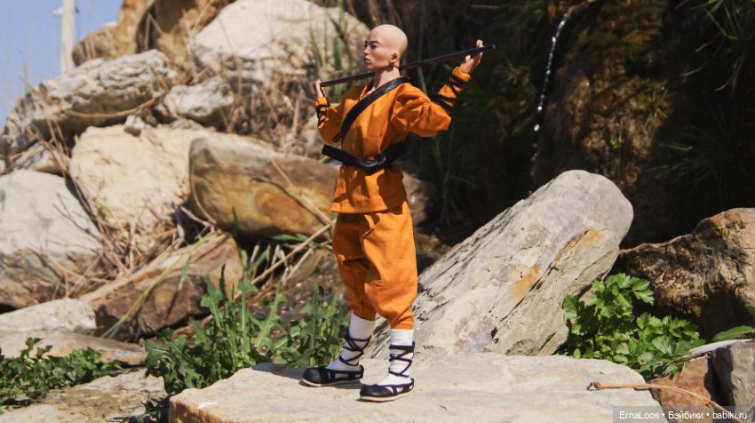 Шаолинь — Куклы Dart dolls (Анна Шиткина): российские BJD (БЖД) (фото 4)