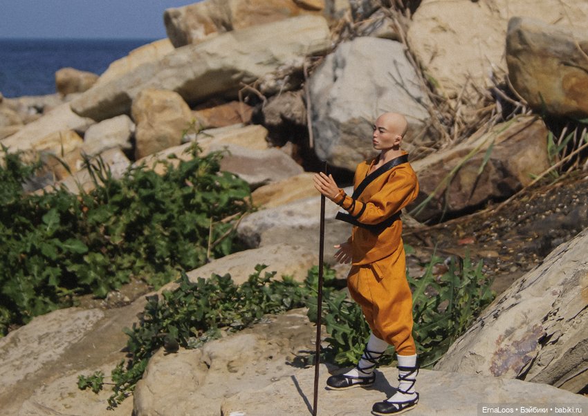 Шаолинь — Куклы Dart dolls (Анна Шиткина): российские BJD (БЖД) (фото 6)