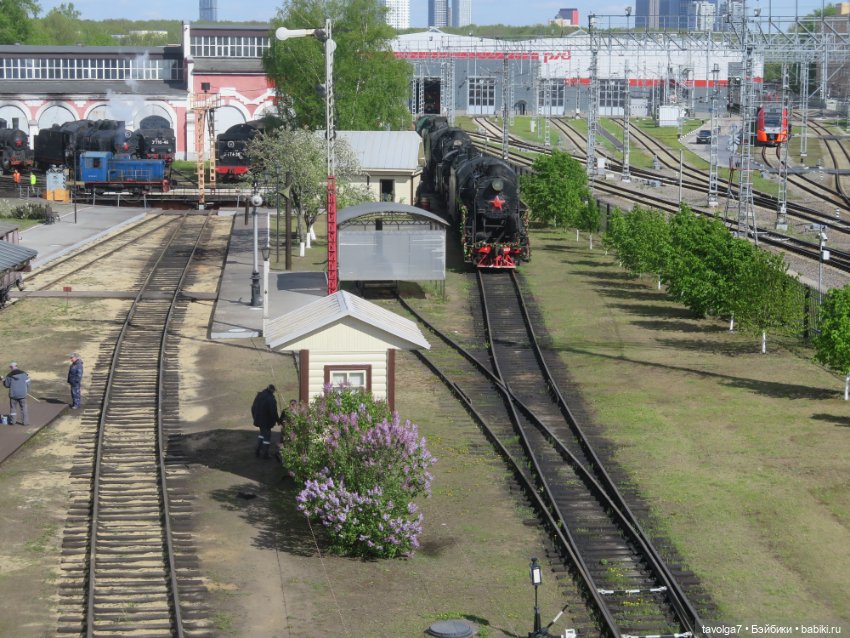 Trinity Doll 6 мая 2025 — Куклы Dyvomir (Дивомир) и Trinity (Тринити): российские шарнирные куклы