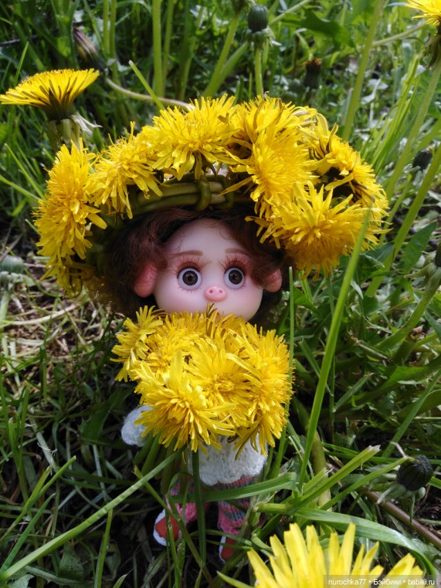 Про Нафочку. Нафочка и одуванчики (фото 10)
