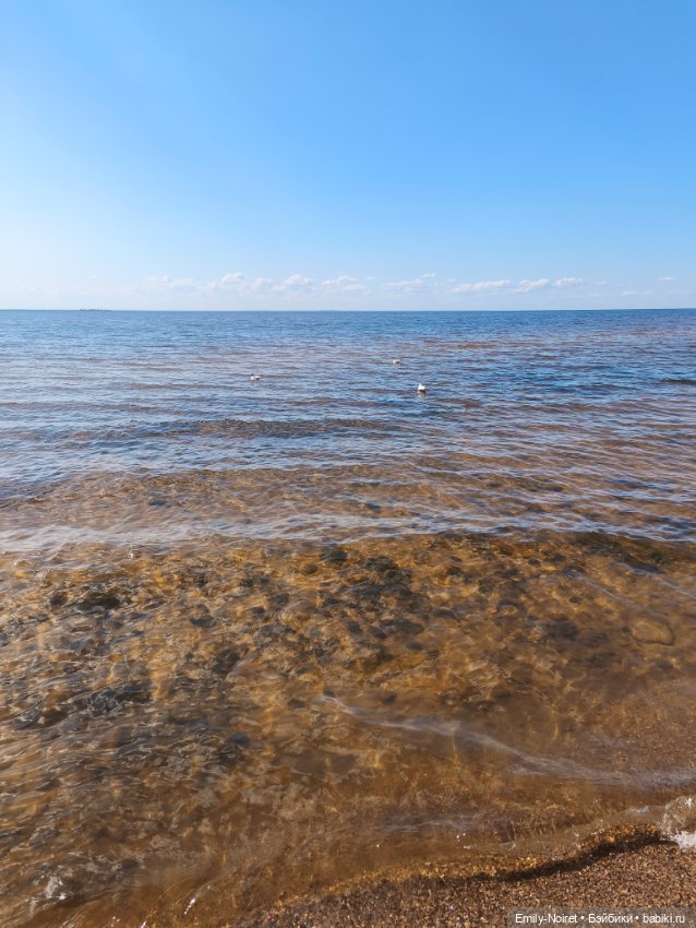 Репино — Туризм и путешествия: фотоотчеты из поездок