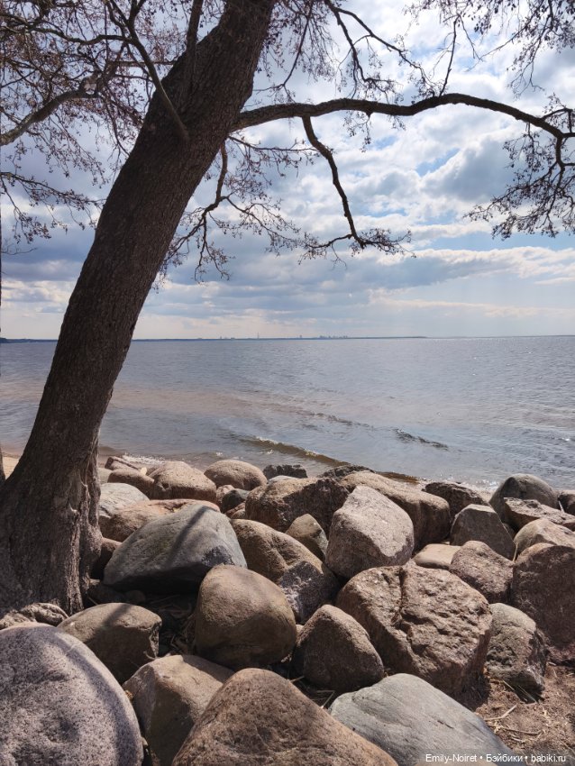 Репино — Туризм и путешествия: фотоотчеты из поездок