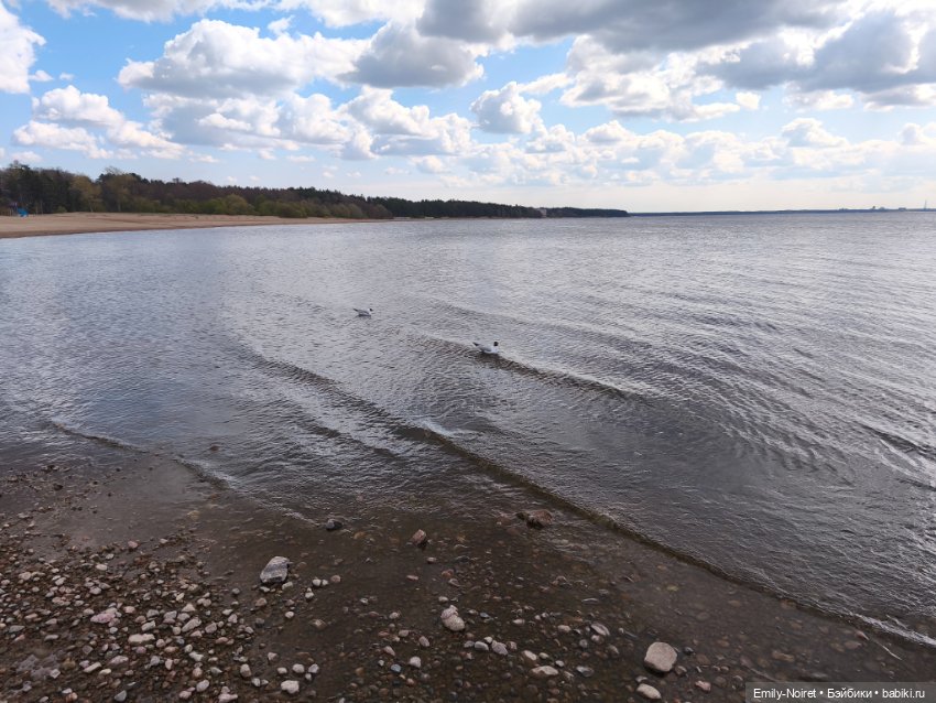 Репино — Туризм и путешествия: фотоотчеты из поездок