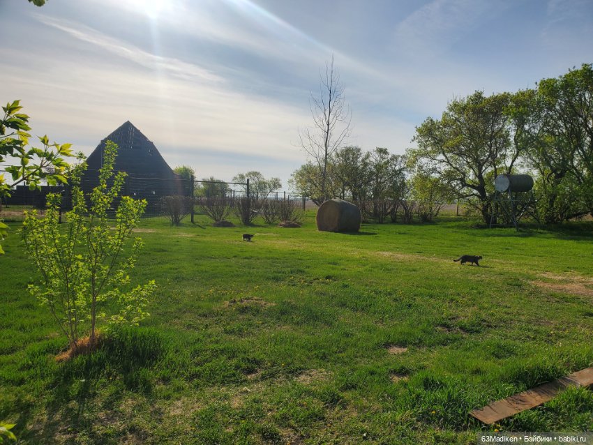 Майский день или Хозяйка усадьбы (фото 5)