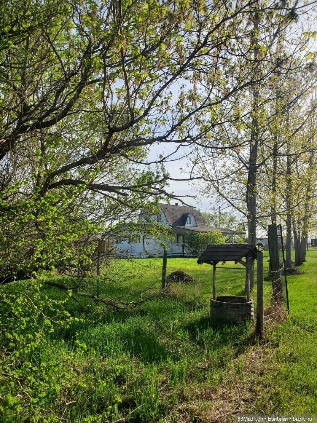 Майский день или Хозяйка усадьбы (фото 6)