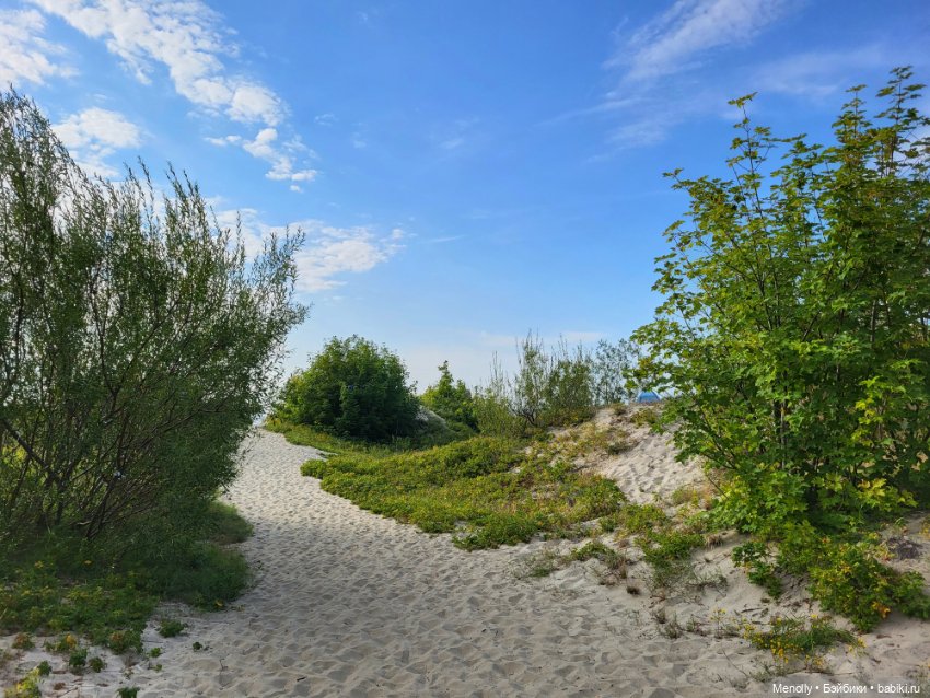 Лето, солнце, море, пляж — Куклы LeeAnn (Denis Bastien) и Marianna Oldenburg: винил