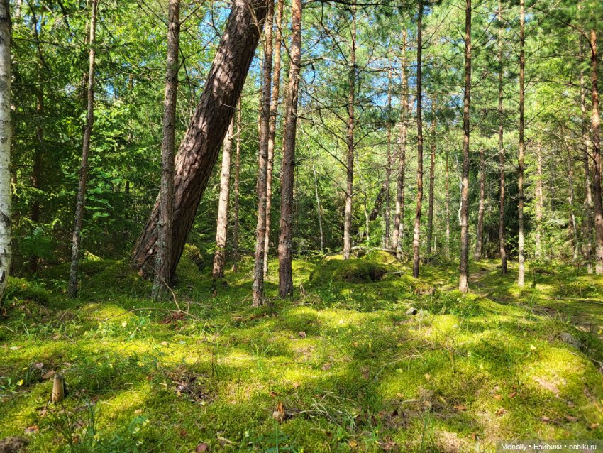 Лето, солнце, море, пляж — Куклы LeeAnn (Denis Bastien) и Marianna Oldenburg: винил