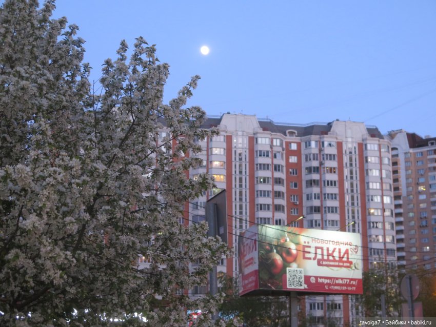 Lalaloopsy Mini гибрид — Игровые куклы разных производителей (Разное): редкие бренды