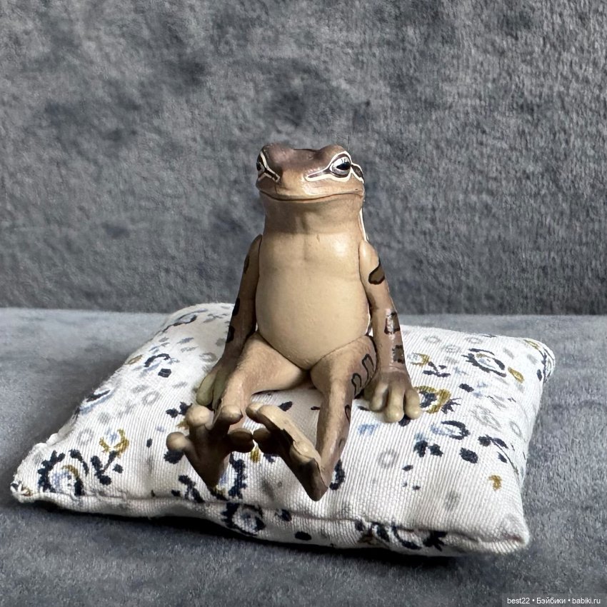 Улица, цветы, Акакий. Май-2025 (фото 2)