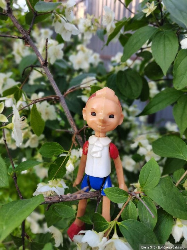 Скажите, как его зовут? Бу-ра-ти-но (фото 6)