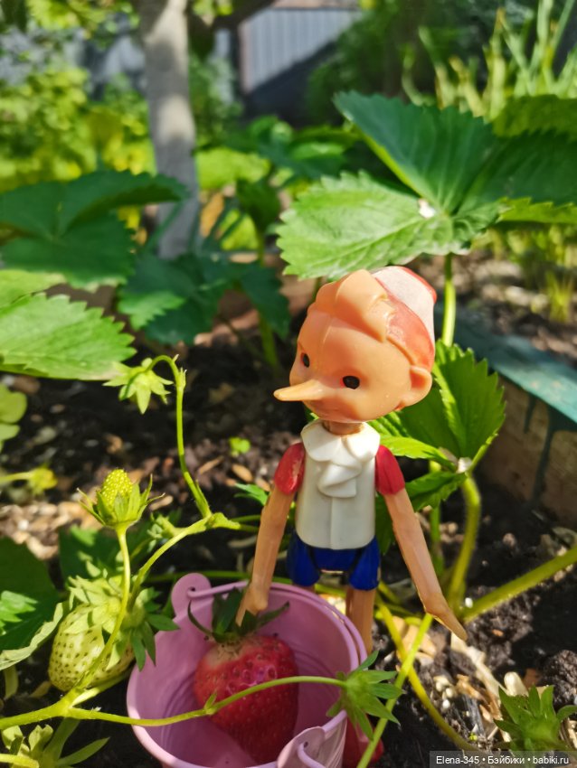 Скажите, как его зовут? Бу-ра-ти-но