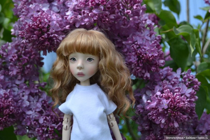 "Плыл по городу запах сирени..." (фото 5)