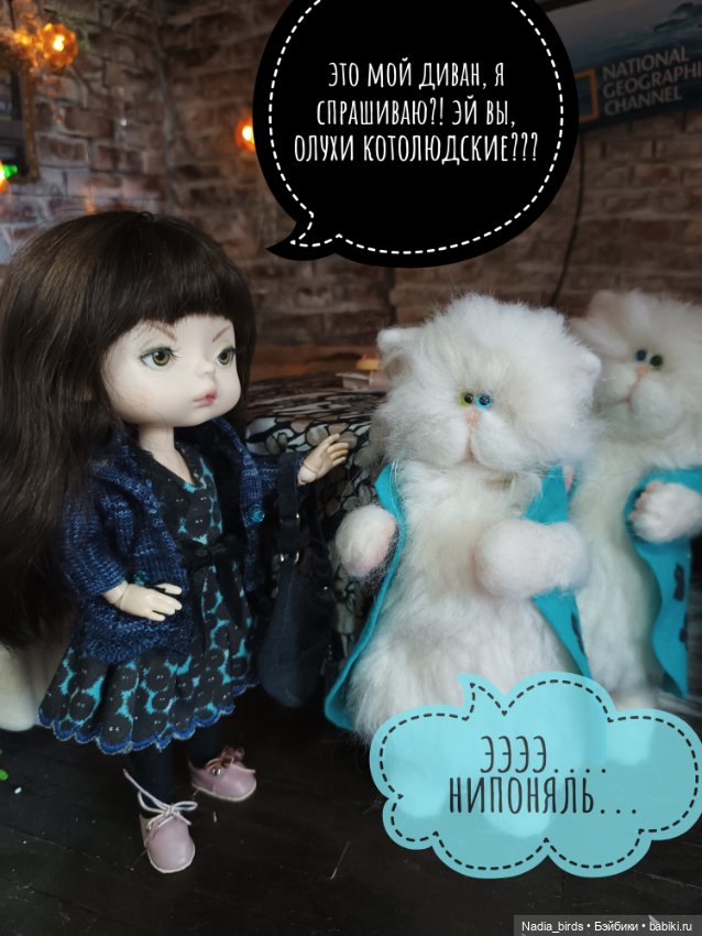 Фаня: возвращение домой — Куклы Xiaomi Monst (Сяоми) и Pipitom: шарнирные (фото 10)