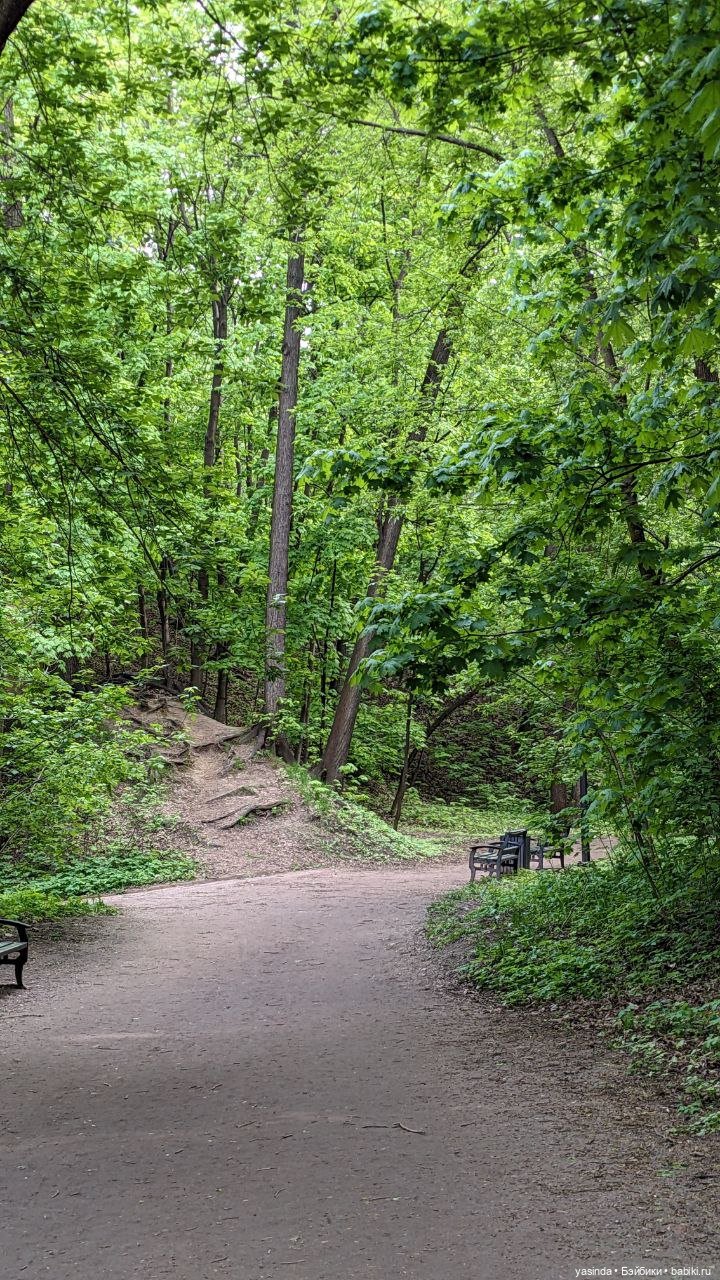 Прогулка по Воробьевым горам