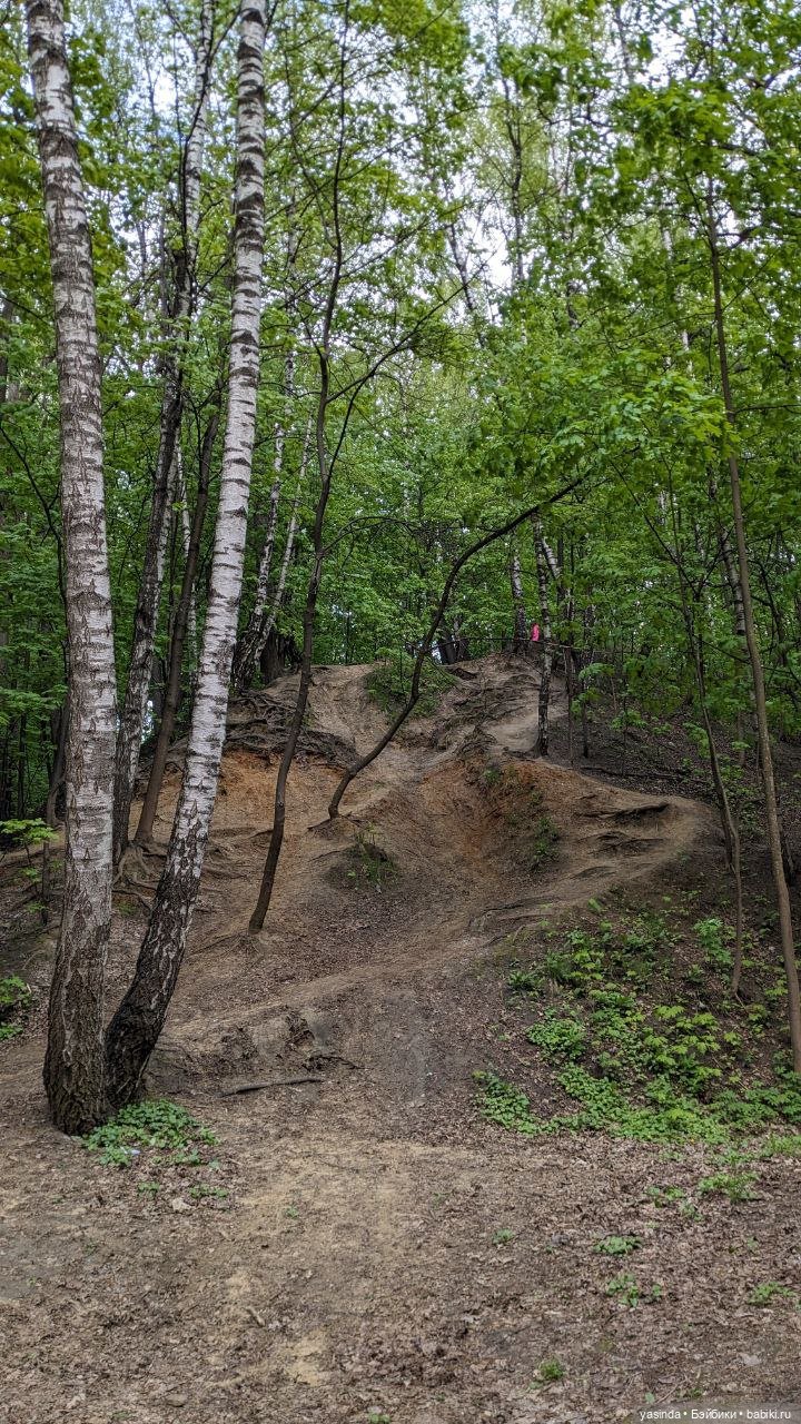 Прогулка по Воробьевым горам