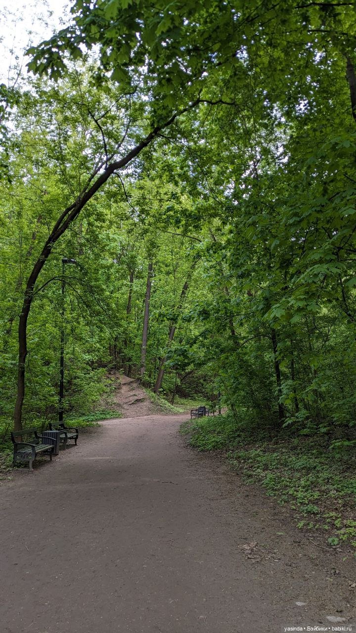 Прогулка по Воробьевым горам