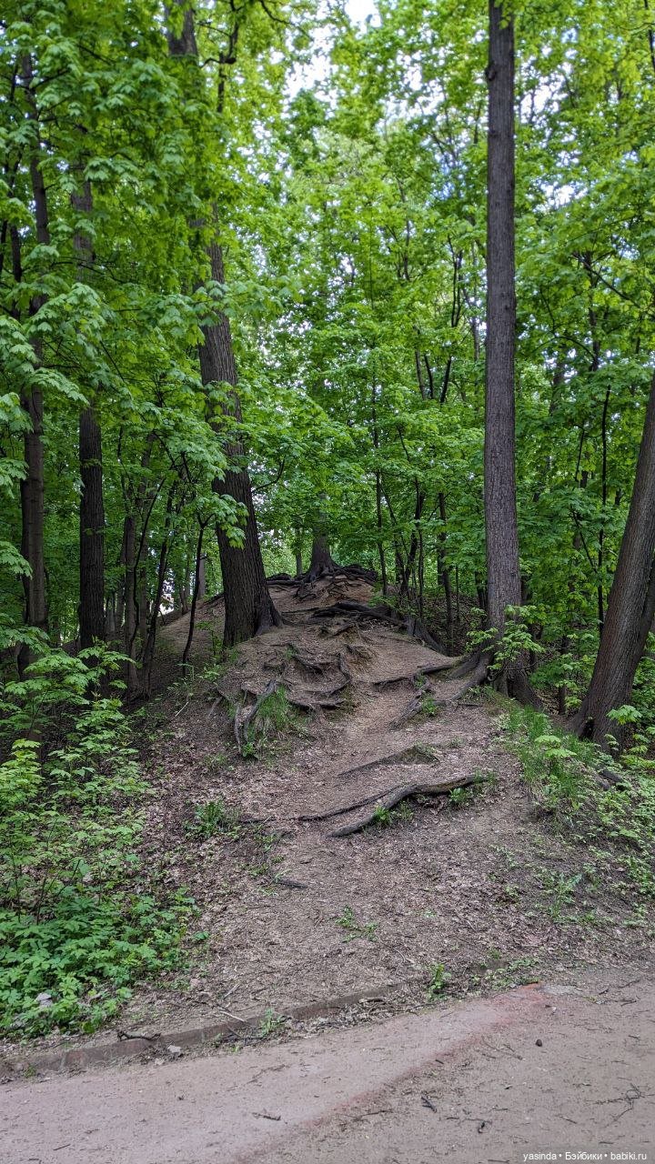 Прогулка по Воробьевым горам