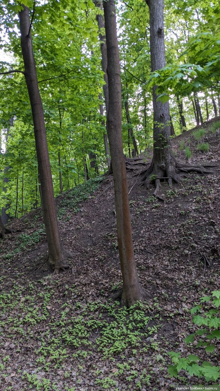Прогулка по Воробьевым горам