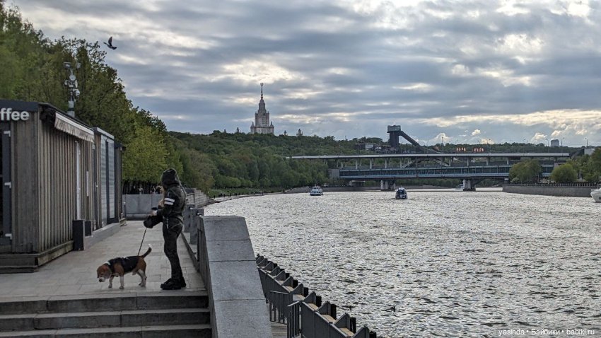Прогулка по Воробьевым горам (фото 7)
