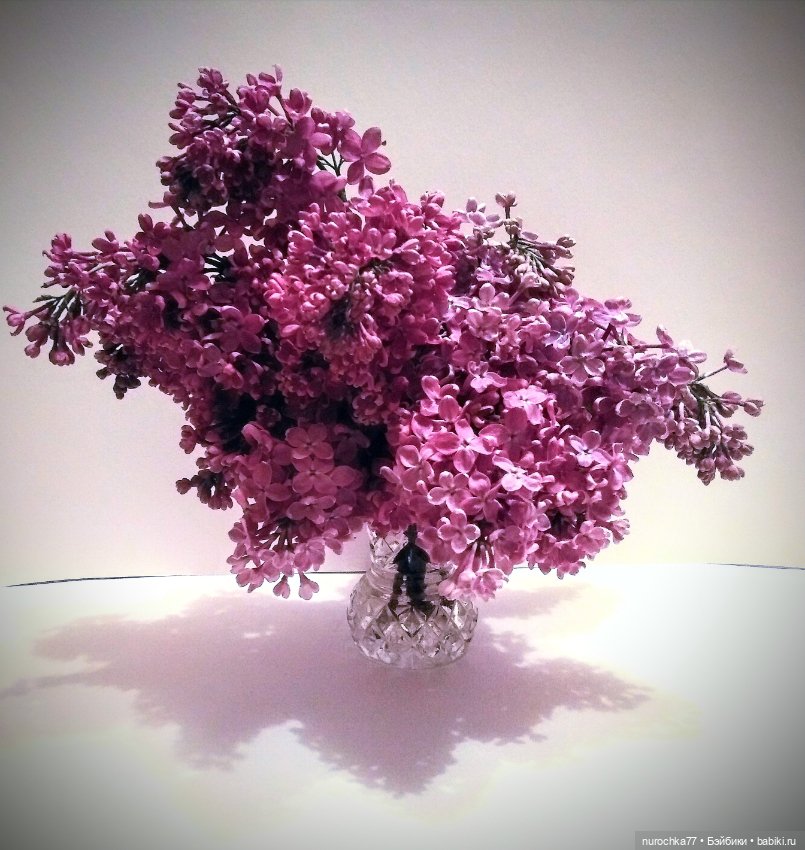 Про Нафочку. Цвет настроения - сиреневый