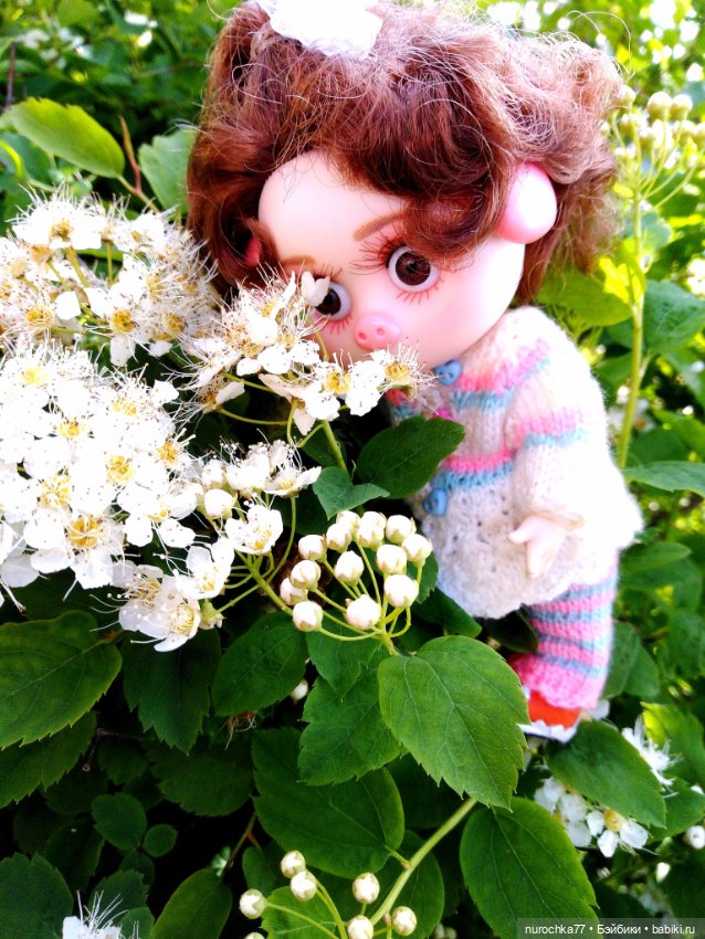 Про Нафочку. Дачная сказка (фото 8)