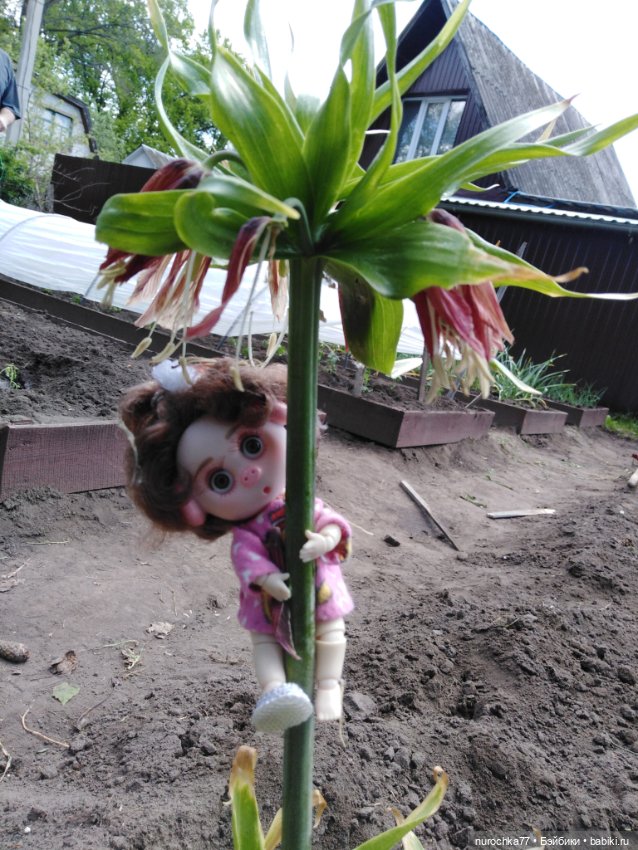 Про Нафочку. Дачная сказка (фото 6)