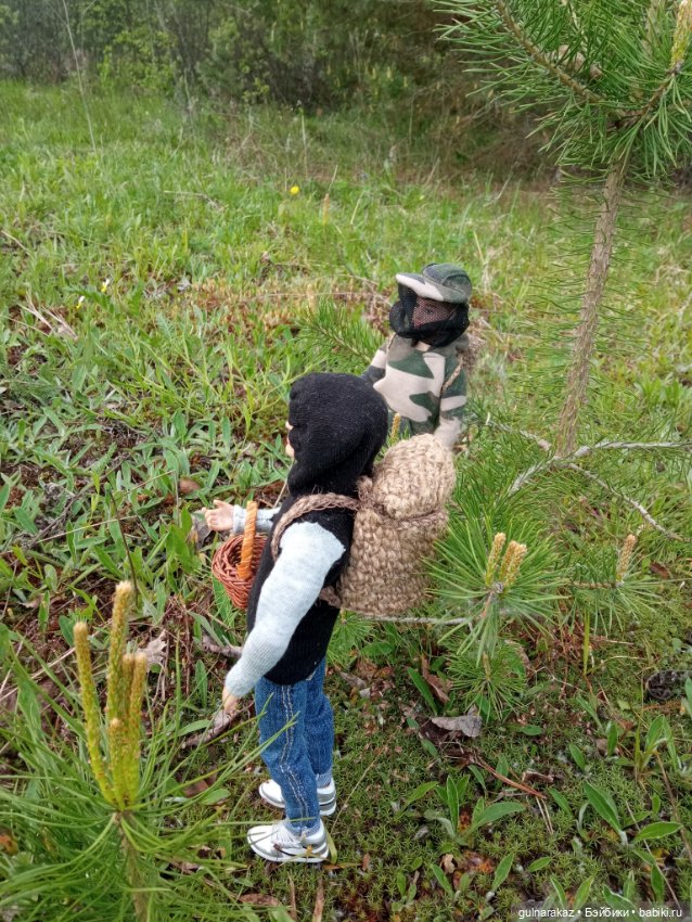 В майский лес за грибами — Туризм и путешествия: фотоотчеты из поездок (фото 2)