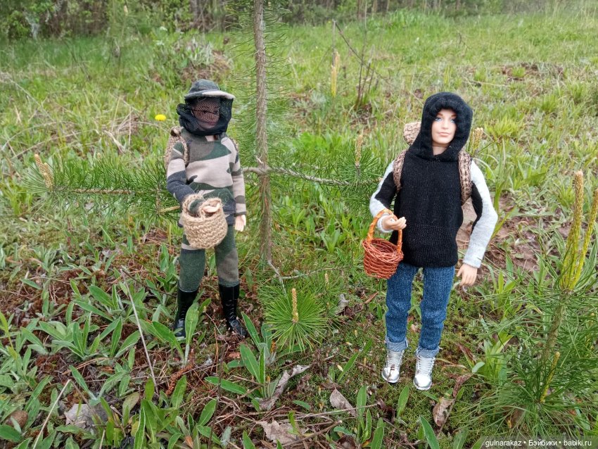 В майский лес за грибами — Туризм и путешествия: фотоотчеты из поездок (фото 4)