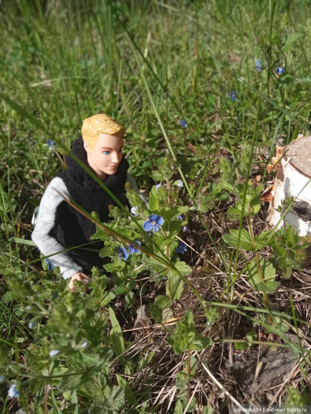 В майский лес за грибами — Туризм и путешествия: фотоотчеты из поездок