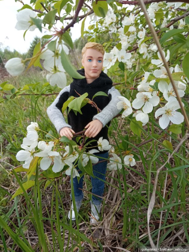 В майский лес за грибами — Туризм и путешествия: фотоотчеты из поездок (фото 6)