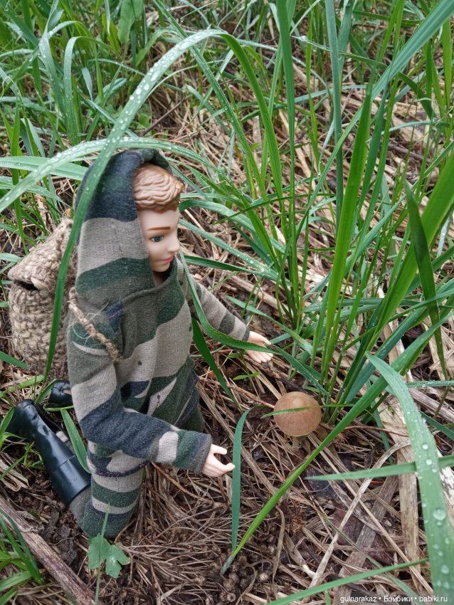 В майский лес за грибами — Туризм и путешествия: фотоотчеты из поездок