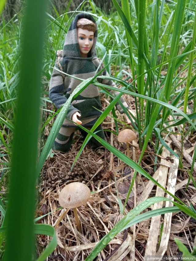 В майский лес за грибами — Туризм и путешествия: фотоотчеты из поездок