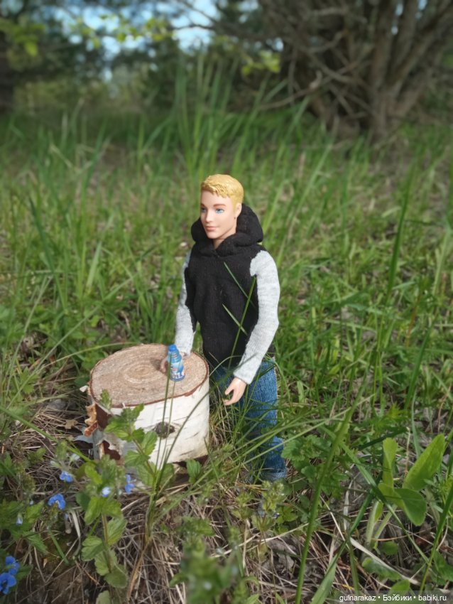 В майский лес за грибами — Туризм и путешествия: фотоотчеты из поездок