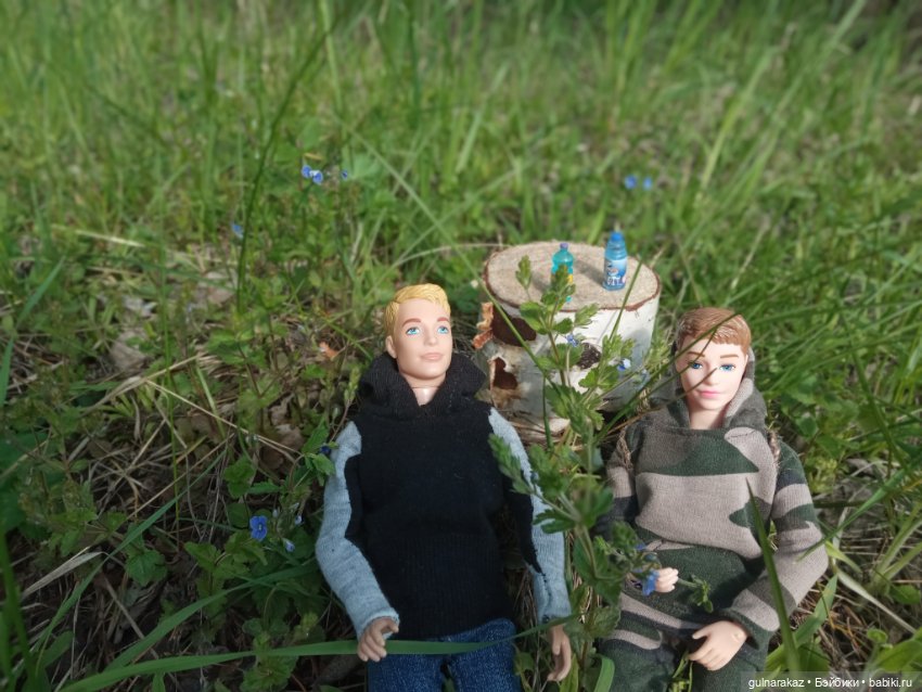 В майский лес за грибами — Туризм и путешествия: фотоотчеты из поездок